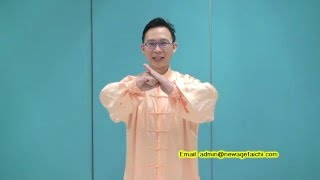 Tai Chi Tutorial  Commencing Form 起势 [upl. by Ethelin]