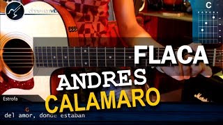 Cómo tocar quotFlacaquot de Andrés Calamaro en Guitarra Acústica HD Tutorial  Christianvib [upl. by Amyas]