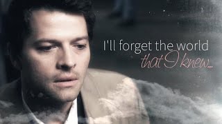 Ill forget the world that I knew destiel au [upl. by Daahsar]