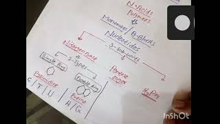 NUCLEIC ACID DNA RNA chapter 2 fsc [upl. by Neal416]