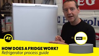 How Does a Fridge Work How is a Fridge Cooled amp More [upl. by Clarkson]