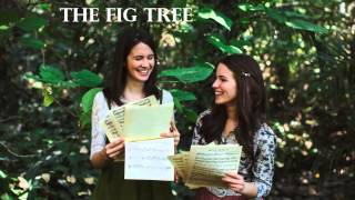 The Fig Tree  Berci Sisters Official Audio [upl. by Buiron]