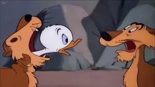 ᴴᴰ Pato Donald y Chip y Dale dibujos animados  Pluto Mickey Mouse Episodios Completos Nuevo 2019 [upl. by Maible]