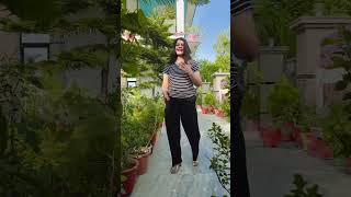 baghban 🌳🌲 bollywood song music hindi punjabi youtube youtubeshorts [upl. by Jessabell]