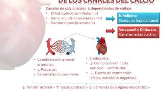 Bloqueadores de los canales del calcio [upl. by Eelnayr]