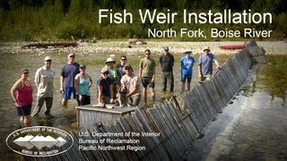 Fish Weir Installation North Fork Boise River [upl. by Aillicsirp210]