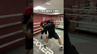 BEAT YOU UP  King Richez Boxing  Training KingRichez [upl. by Eatton]