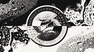 Sub Focus  Nobody Knows Audio [upl. by Ilam]