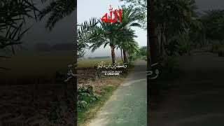 Allah is the best planner❤️shorts shortvideo islamicvideo islamicstatus islamicvideo quran [upl. by Anastice]