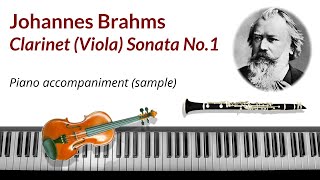 Brahms Clarinet Viola Sonata No1  piano accompaniment backing tracks sampledemo [upl. by Rheingold]