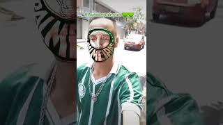 AVANTE PALESTRA VAMOS PALMEIRAS 💚💚💚💚💚 [upl. by Cottle]