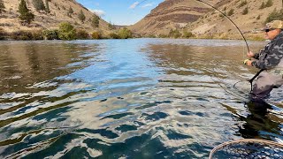 Buddy hooks his 1ˢᵗ steelhead amp almost ends in DISASTER [upl. by Nahttam]