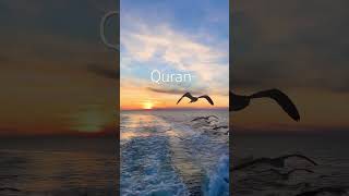 Surah Namal 27  Aayat 79 81 Urdu translation [upl. by Dietsche]