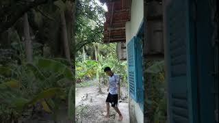 FROG ATTACKS TODDLER Toddler Gets Even dikejar kodok ijo part 9 [upl. by Winshell807]