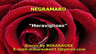 Negramaro Meraviglioso KARAOKE [upl. by Htiderem]