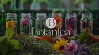 Botanica Fermented Essence for Naturally Stronger Healthier Hair [upl. by Aiotal898]