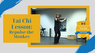 Tai Chi Lesson Repulse the Monkey [upl. by Bullard]