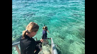 Cozumel Snorkeling at Presidente 2 2022 with large stingray [upl. by Tnaryb268]