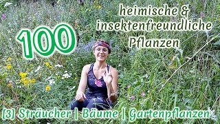 100 heimische amp insektenfreundliche Pflanzen 34 Pflanzen und Standortkunde  BestäuberWissen [upl. by Dubenko]