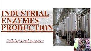 Industrial production of enzymes Cellulases and amylases [upl. by Gussy433]