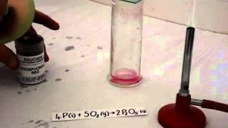 Phosphorus burns in oxygen [upl. by Neicul452]