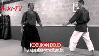 ushiro kata otoshi on omote yokomen uchi [upl. by Leonelle397]