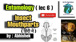 Insect mouthparts  Its type and classification  Entomology lec 6  Go For Agriculture [upl. by Yrrah]