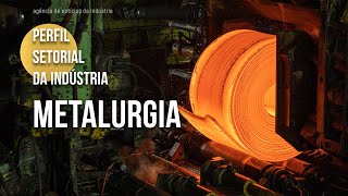 Conheça o setor de metalurgia  2024 [upl. by Maridel]