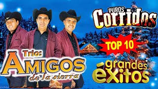 Rancheritas con el trio Los Amigos de la sierra 🎶Las Mejores Canciones💽 Exitos De Oro [upl. by Elston]