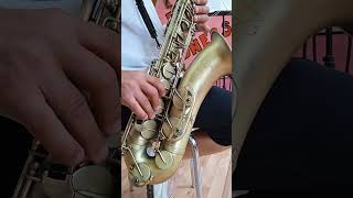 Selmer Reference 54 Tenor saxophone Chinese replica [upl. by Hemminger208]