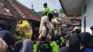 suhunan  ayam putih  burok pkc live cilengkrang girang 12 april 2024‎PKCOFFICIAL [upl. by Loomis]