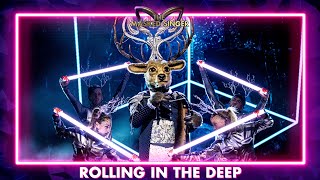 Edelhert  ‘Rolling In The Deep’  Aflevering 1  The Masked Singer  VTM [upl. by Lawson]