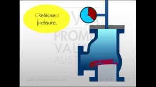 Check Valve Hydrostatic Pressure Test [upl. by Rialc]