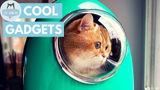 10 Useful Gadgets For Cats [upl. by Furlani16]