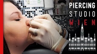 Septum Piercing mit betäubung  Piercing TV [upl. by Larimore92]