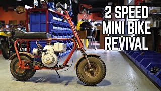 2 Speed Mini Bike Revival  500cc 2 Stroke Race Karts [upl. by Adirf]