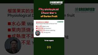 Physiological Disorders of Durian Fruit 1 [upl. by Ilujna]