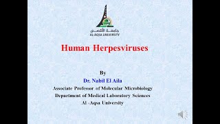 Chapter 5 Human Herpesviruses [upl. by Notsla]