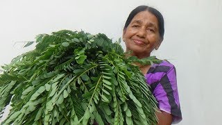 Healthy Village Food ❤ cooking Sesbania Grandiflora Leaves in my Village by my Mom [upl. by Kuhn]