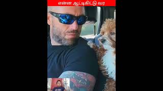 😁ஏலே சொங்கி பயலே🤪animalmindvoice trendingvideo shortvideo viralvideo [upl. by Araccat306]