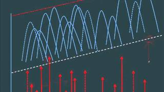 SevenSlideSeries Sensitization and Tolerance [upl. by Dusty]