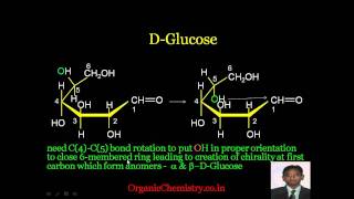 quotBasic concepts behind acyclic amp cyclic forms of Glucose by the eyes of AKGquot [upl. by Acired315]