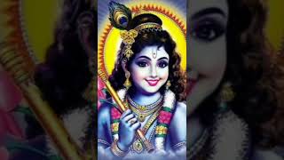 devotional2024subscribelittlesongkrishnaloveguruvayoorshortsviralvideo [upl. by Oxford143]