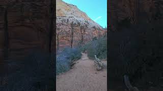 Scouts Lookout Angels Landing Zion National Park zionnationalpark angelslanding scoutslanding [upl. by Dowzall913]