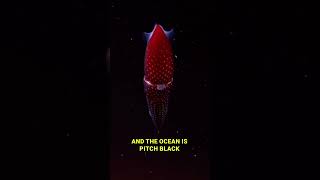 Why Do Deep Sea Creatures Evolve Into Giants [upl. by Meirrak]