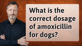 What is the correct dosage of amoxicillin for dogs [upl. by Jill]