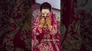 New video kashmiri bride kashmir explore wedding kashmirisongs newkashmirisong youtube video [upl. by Akemed]