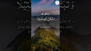 Surah Muzammil  سورۃکاترجمہ quran shorts fyp [upl. by Starkey]