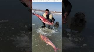 Ice fishing is the best winter activity fishing outdoor fishingvideo fishcutting [upl. by Llerahc585]