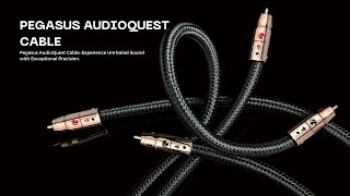 unboxing The PEGASUS CABLE AUDIOQUEST  Listening Matters [upl. by Ardnohs]